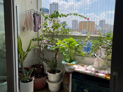 N105 Nguyen Phong Sac, Vietnam N105 Nguyen Phong Sac, Vietnam