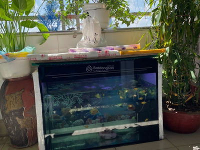 N105 Nguyen Phong Sac, Vietnam N105 Nguyen Phong Sac, Vietnam