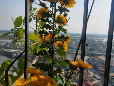 @Home Social Housing Project, Vietnam @Home Social Housing Project, Vietnam