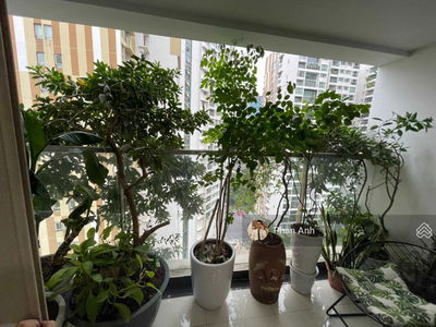 Mandarin Garden Project, Vietnam Mandarin Garden Project, Vietnam