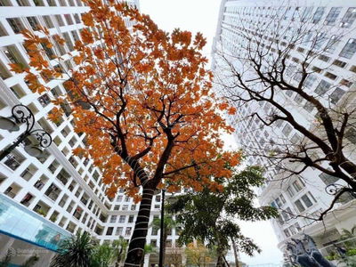 Sunshine Garden Project, Vietnam  Sunshine Garden Project, Vietnam