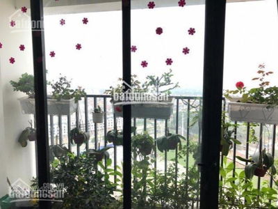 Green Stars, Vietnam Green Stars, Vietnam