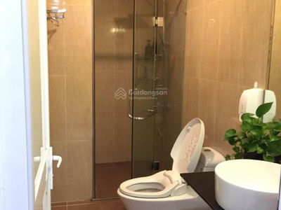 Green Stars, Vietnam Green Stars, Vietnam