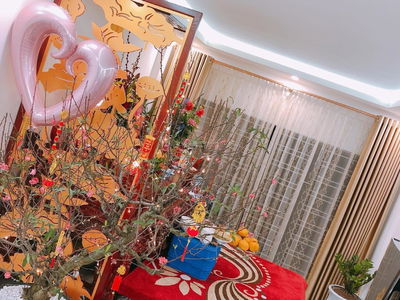 Linh Dam Urban Area Project, Vietnam Linh Dam Urban Area Project, Vietnam