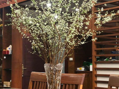 TSQ Galaxy Project, Vietnam TSQ Galaxy Project, Vietnam