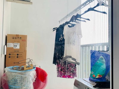 Orchid Park, Vietnam Orchid Park, Vietnam