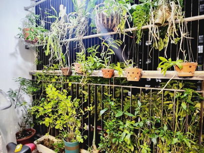 GoldSilk Complex Project, Vietnam GoldSilk Complex Project, Vietnam