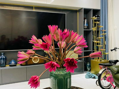 Eco Lake View Project, Vietnam Eco Lake View Project, Vietnam