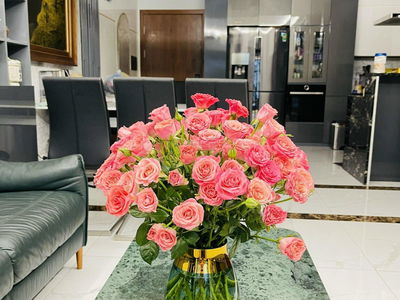 Eco Lake View Project, Vietnam Eco Lake View Project, Vietnam