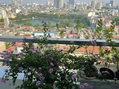 187 Tay Son, Vietnam 187 Tay Son, Vietnam