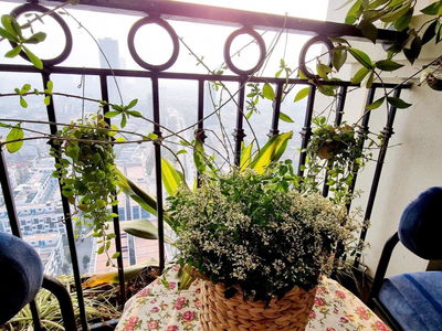 Mandarin Garden Project, Vietnam  Mandarin Garden Project, Vietnam