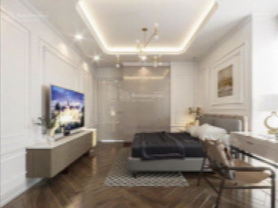 The Golden Armor Project, Vietnam The Golden Armor Project, Vietnam