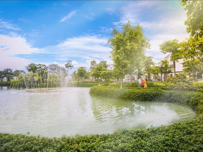 - An Lac Green Symphony, Vietnam - An Lac Green Symphony, Vietnam