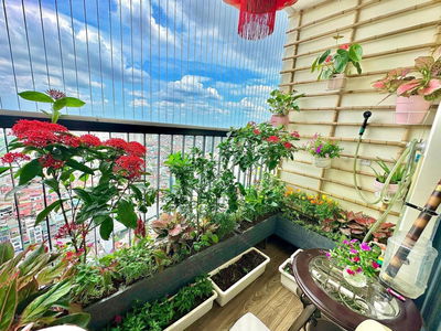 282 Linh Nam, Vietnam 282 Linh Nam, Vietnam