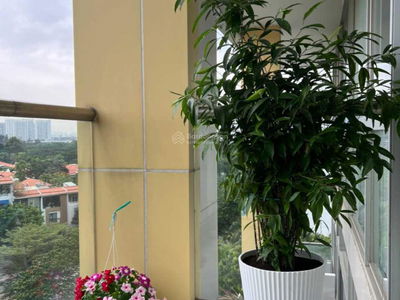 Garden Court 1, Vietnam Garden Court 1, Vietnam