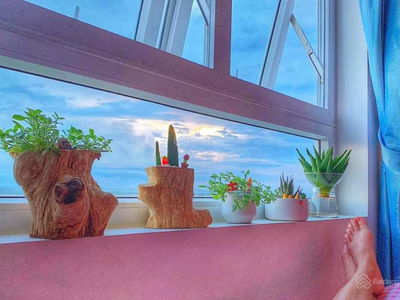 Orchid Park, Vietnam Orchid Park, Vietnam