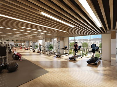 - An Lac Green Symphony, Vietnam - An Lac Green Symphony, Vietnam