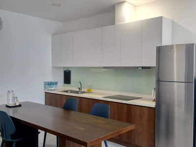 Calla Garden, Vietnam Calla Garden, Vietnam