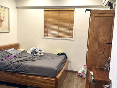 Den Lu II Project Den Lu II Project