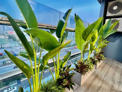 HH2 Bac Ha, Vietnam HH2 Bac Ha, Vietnam