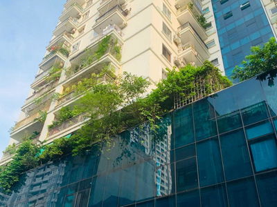 262, Vietnam 262, Vietnam