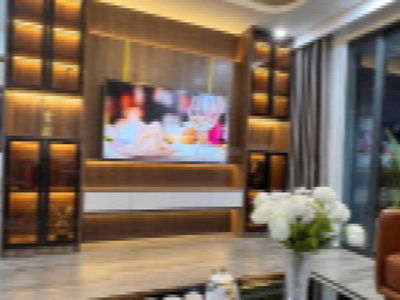 TSQ Shopping Center Project, Vietnam TSQ Shopping Center Project, Vietnam