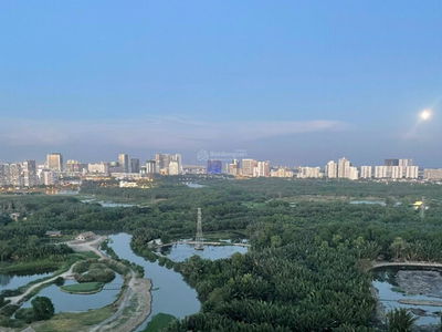 Dragon City, Vietnam  Dragon City, Vietnam