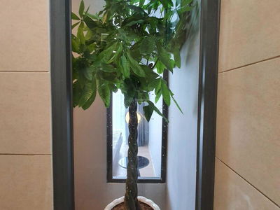 Celadon City, Vietnam Celadon City, Vietnam