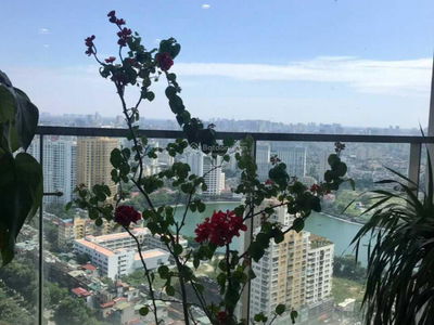 - Lieu Giai, Vietnam - Lieu Giai, Vietnam