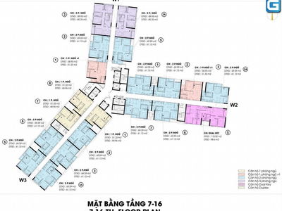 D-Man, Vietnam D-Man, Vietnam