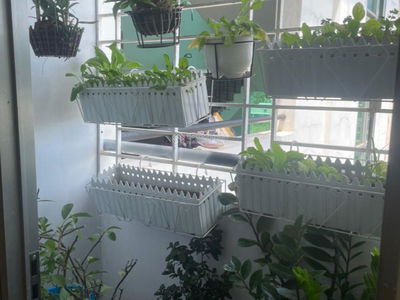 Vo Van Kiet Street, Vietnam  Vo Van Kiet Street, Vietnam