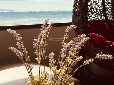 (Lapen Center), Vietnam  (Lapen Center), Vietnam