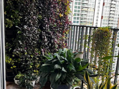 Green View, Vietnam Green View, Vietnam