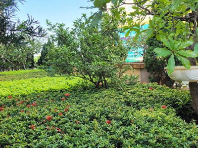 The Golden An Khanh Project, Vietnam The Golden An Khanh Project, Vietnam