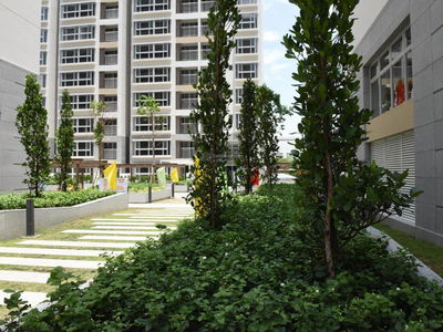 Scenic Valley 1, Vietnam Scenic Valley 1, Vietnam