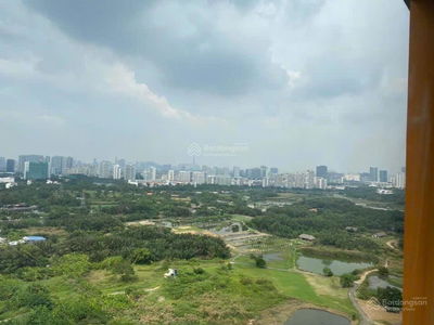 Dragon City, Vietnam  Dragon City, Vietnam