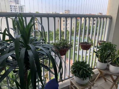 Giang Bien Ward, Vietnam Giang Bien Ward, Vietnam