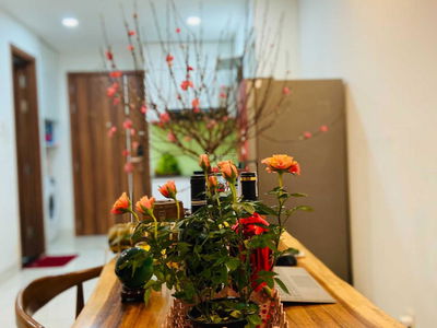 Samsora Riverside Project, Vietnam  Samsora Riverside Project, Vietnam