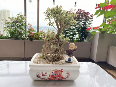 HPC Landmark 105 Project, Vietnam HPC Landmark 105 Project, Vietnam