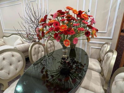 Vien Dong Star Project, Vietnam Vien Dong Star Project, Vietnam