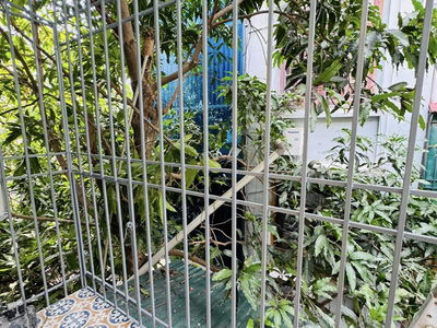 Chua Lang Street, Vietnam Chua Lang Street, Vietnam