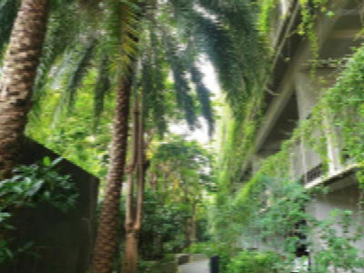 La Casta Van Phu Project, Vietnam La Casta Van Phu Project, Vietnam