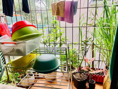 Pham Ngoc Thach Street, Vietnam Pham Ngoc Thach Street, Vietnam