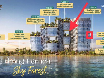 Sky Forest Residences Project, Vietnam Sky Forest Residences Project, Vietnam