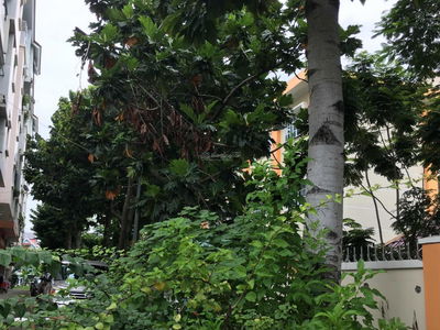 E-Home, Vietnam E-Home, Vietnam