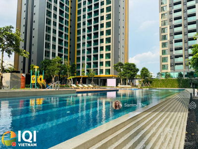 Of The Sun, Vietnam Of The Sun, Vietnam