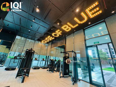 Of The Sun, Vietnam Of The Sun, Vietnam