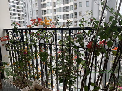 Sunshine Garden Project, Vietnam Sunshine Garden Project, Vietnam