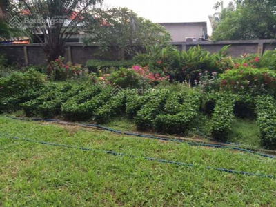 Phu My Thuan, Vietnam Phu My Thuan, Vietnam