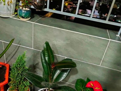 Starlight Riverside, Vietnam Starlight Riverside, Vietnam